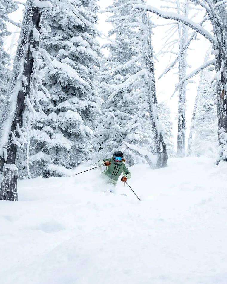 Photo of Kailyn Wright skiing the trees at Brundage Mountain Resort