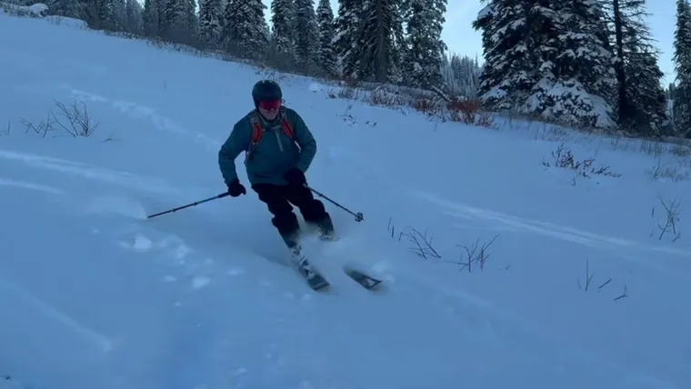 Picture of skier making a turn in early season snow. Bushes in the background. 